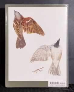 Songbird Carving II by Rosalyn Daisey HC 1997 Wood Sculpture Craft Book - Imagen 1 de 16