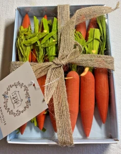 RACHEL ASHWELL Carrots (12) WOODEN ORANGE GREEN NIP - Picture 1 of 1