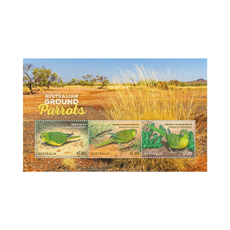 Australia - Australian Ground Parrots - Image 1 of 1
