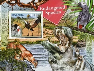 Endangered Species Black Crowned Crane African Golden Cat Caracal S/S MNH #2804 - Picture 1 of 12