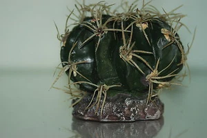 Vivarium Reptile Cactus With Spines & Rock Base Decoration 9.5 x 9.5 x 7 cms - Picture 1 of 3