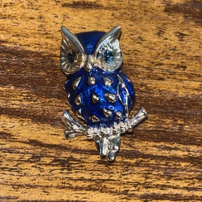 Broche de joyería de moda ojos de piedra azul búho 1” de alto hermoso excelente estado Foto 1 de 4