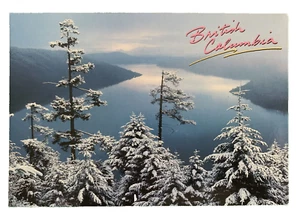 Beautiful Vintage 1980's Canadian Rockies Banff National Park Postcard - Unused - Bild 1 von 2