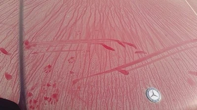 94 95 96 97 98 99 00 01 02 MERCEDES SL500 抽油烟机红色 572 — 第 1/4 张图片