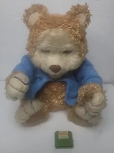 Playskool TJ Bearytales Orso Peluche Animato Interattivo Parlante Giocattolo Bambini - Foto 1 di 9
