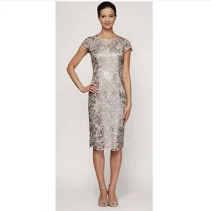 Alex Evenings Dress Sequin Embroidered Lace Sheath Metallic Modest Event Sz 10 - Picture 1 of 11