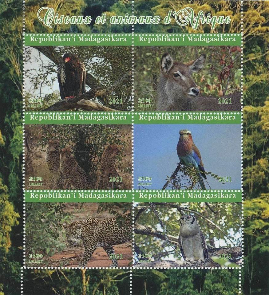 Madagascar 2021 MNH Stamps Animals & Birds of Africa Owls Rollers Cheetahs 6v MS - Image 1 of 1
