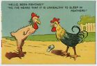 Cockerel to Cockerel Hello You Been Fighting ? Vintage Comic Postcard C11