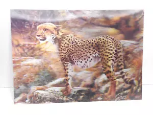 3D Wildlife HOLOGRAMM Linsenposter schönes edles Gepard Kunststoff Tischset - Bild 1 von 4