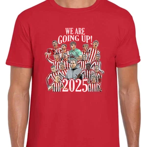 Sunderland Promoted 2025 Adult Unisex T-Shirt Tee Design 1 S-XXXL Top Fans Gift - Picture 1 of 12