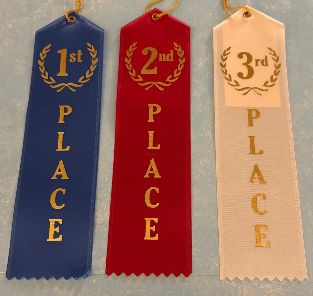 Rosette Ribbon Fun Express 1st Place Award Ribbons - 12 Piece Blue ...