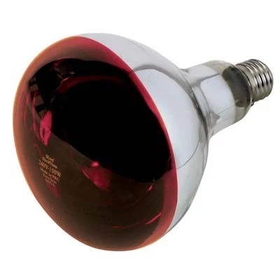 LAMPADA RIFLETTORE PULCINI PHILIPS  INFRAROSSI VOLT 230 WATT 150 E27 MM 125 - Immagine 1 di 1