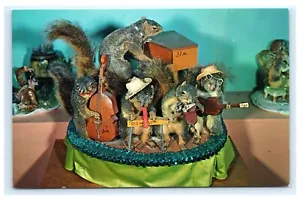 Postal de Squirrels as Roy Acuff’s Band Roy Acuff Gatlinburg TN Tennessee F9 - Imagen 1 de 2