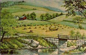 Postal Der Dutchman Restaurant Walnut Creek Ohio Cromo Sin Publicar - Imagen 1 de 2