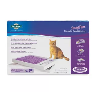ScoopFree Litter Tray Refill Lavender Scented - Picture 1 of 1