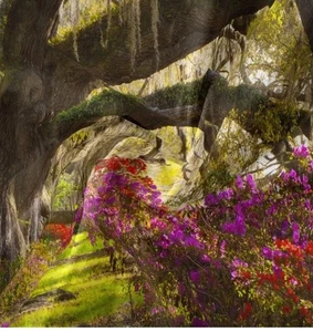 Enchanted Forest With Flowers Tapestry Wall Hanging 36"L * 48"W - Picture 1 of 4