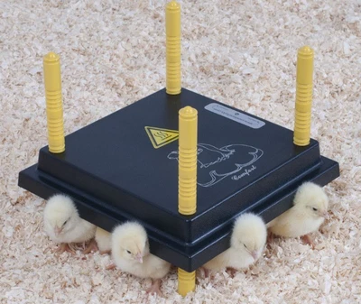 Criador/plato térmico de pollitos de 25 cm con bebedero de 1 L y alimentador de 30 cm para hasta 20 pollitos Foto 1 de 3