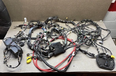 Dodge Charger Scat Pack 392 2021 carrocería 6,4 L arnés de cableado 68487549AB fabricante original Foto 1 de 4