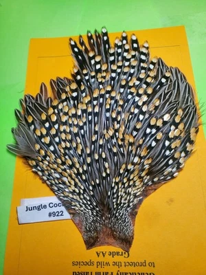 Jungle Cock Cape  AA 922   USA Only  - Image 1 of 4