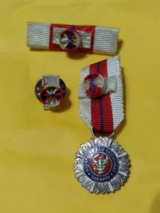 Sarawak Miniature PPT Pingat Perkhidmatan Terpuji Distinguished Service Medal - Picture 1 of 12