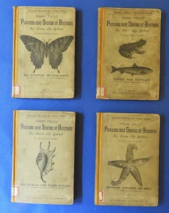 Young Folks Pictures and Stories of Animals by Abby Amy Tenney 1887 4 Books - Picture 1 of 24