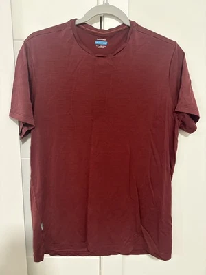 Icebreaker 125 Cool-lite Camiseta Lana Merino Foto 1 de 4