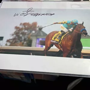 AMERICAN PHAROAH 2015 BREEDERS CUP CLASSIC CHAMPION WINNER HORSE 8X10 PHOTO STRC - Bild 1 von 3