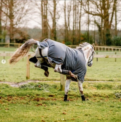 Horseware Amigo® Bravo 12 Plus Turnout (0g Light) Shadow/Navy & Rose - Bild 1 von 4