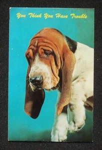 Postal You Think You Have Trouble Basset Hound 1976 - Imagen 1 de 1