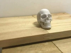 Cráneo humano escala 1/6 V2 - Imagen 1 de 7