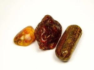 Konvolut 3 Baltische Bernsteine 47gr. Braun Grün Natur Echt Poliert 6731 - Bild 1 von 8
