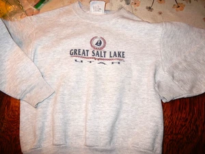 Vintage Children's Sweatshirt Size Medium Grey Great Salt Lake Utah - Picture 1 of 4