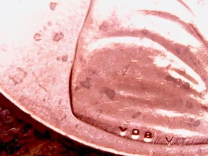 L@@k A 2023 P Lincoln Shield Cent "Extra - V"!! - Picture 1 of 3
