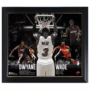 Dwyane Wade Miami Heat Fanatics Authentic Framed Retirement Collage - Bild 1 von 1