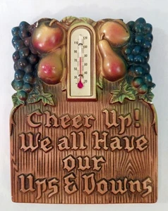 Targa da parete vintage con termometro ALLEER UP ABBIAMO TUTTI I NOSTRI ALTI E BASSI - Foto 1 di 3