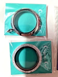 Origami Owl Grande Plata Edición Limitada EE. UU. Juego de Medallones Conciencia de TEPT - Imagen 1 de 11