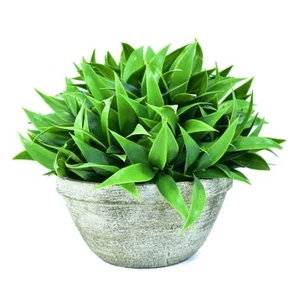Artificial Grass Leaf Plant In Grey Pot, 21cm tall - Picture 1 of 4