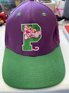 Vintage 1993 Pink Panther Snapback Hat Blitzz Studios Cartoon Rare Purple Green - Picture 1 of 13