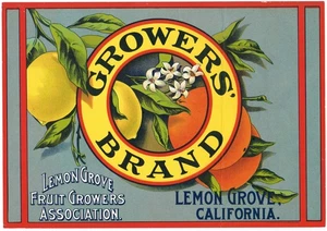 ORIGINAL CRATE LABEL VINTAGE LEMON GROVE SAN DIEGO C1915 RARE GROWERS BRAND - Picture 1 of 1