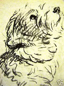 Lucy Dawson 1937 SEALYHAM CACHORRO perro impresión artística mate - Imagen 1 de 5