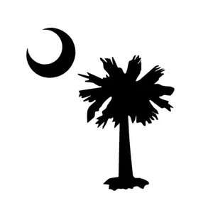 Palmetto Moon SC Flag Single Color Transfer Vinyl Decal - Window Decal - Picture 1 of 26