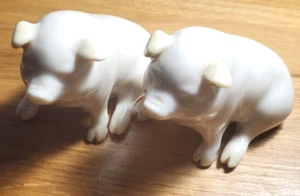 Belleek Ireland Pair Of Pigs 7th Mark 1980-1993 - Bild 1 von 12