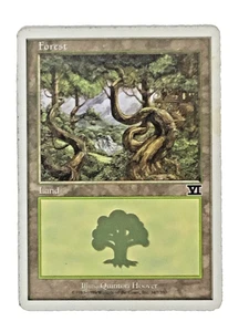 MTG Forest Land 6th Edition 347/350 Illustrated Quinton Hoover Wizards Coast - Picture 1 of 24