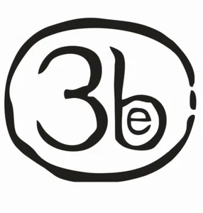 Pegatina de vinilo troquelada de música para tercer ojo ciega 3eB 3rd rock banda coche JDM envío gratuito - Imagen 1 de 3