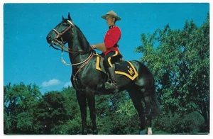 Mountie on Horse Royal Canadian Mounted Police RCMP Postcard Posted 1964 - Picture 1 of 2