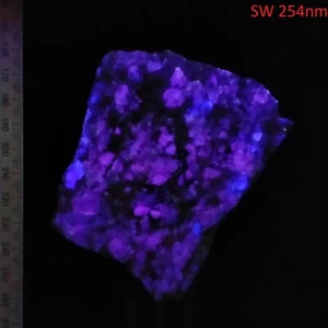 Fluorite w/ Garnet in Albite fluorescent short wave specimen Sparta US 0.48kg - Picture 1 of 12
