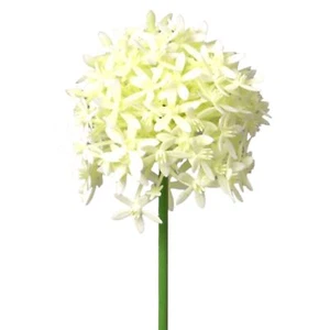 Kunstblume ALLIUM ca 64cm. Zierlauch Lauch Alium Blütenkopf ca 9,5cm. CREME - Bild 1 von 1