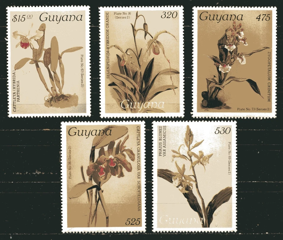 GUYANA 1986-1989 FLORES: ORQUÍDEAS, Sc 1196, 1229, 1282,1284,1290. MNH Foto 1 de 1