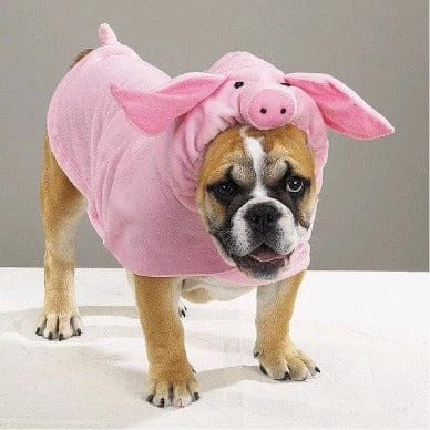 Piggy Pooch Dog Costume - Image 1 of 1