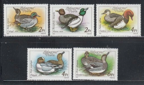 HUNGARY Teal、Goldeneye、Wigeon、Pochard & Gadwall DUCKS 全新无标签套装 — 第 1/1 张图片